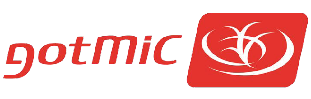 Gotmic